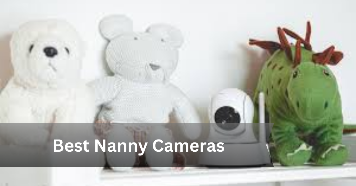 Nanny Camera