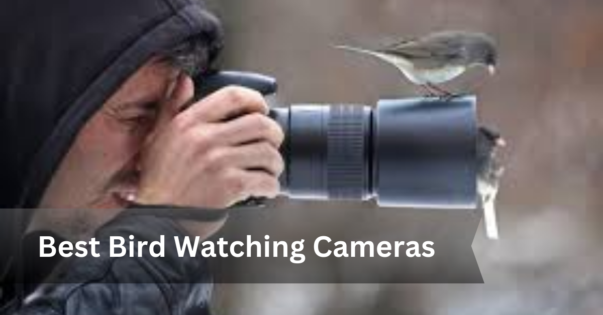 Bird Watching Cameras